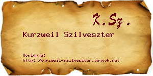 Kurzweil Szilveszter névjegykártya